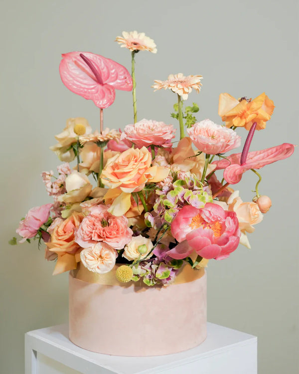 Rose Bay Flower